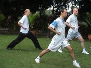 Advanced-Combined Shaolin-Taijiquan Course 2009