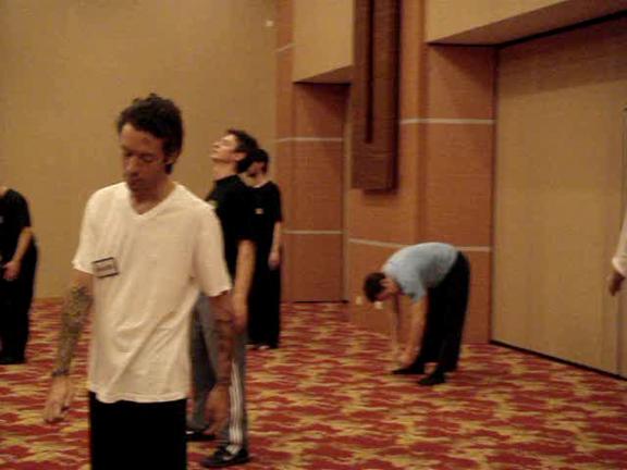 Advanced-Combined Shaolin-Taijiquan Course 2009