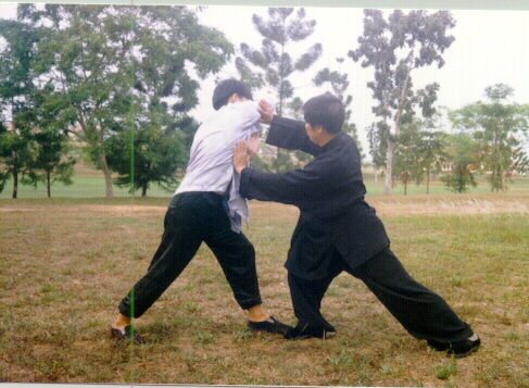 Advanced-Combined Shaolin-Taijiquan Course 2009