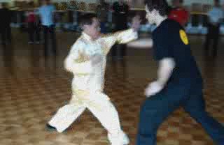 Advanced-Combined Shaolin-Taijiquan Course 2009