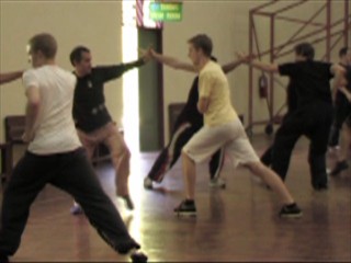 kungfu combat