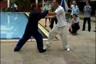 Taijiquan 12 Combat Combat Sequences