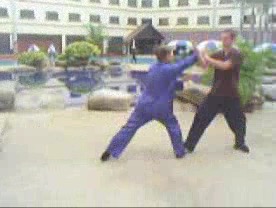 Taijiquan 12 Combat Sequences