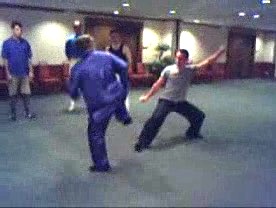 Taijiquan 12 Combat Sequences