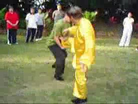 Taijiquan 12 Combat Sequences