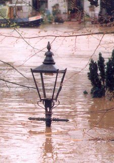 A Beautiful Street Lamp