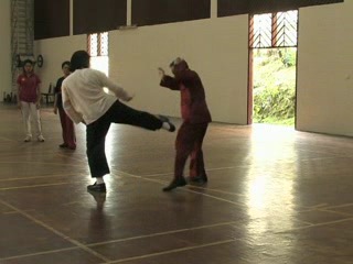 Shaolin 16 Combat Sequences