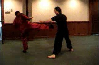 Shaolin 16 Combat Sequences