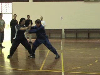 Shaolin 16 Combat Sequences