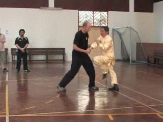 Shaolin 16 Combat Sequences