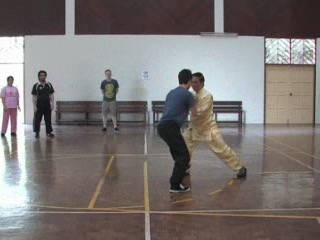 Shaolin 16 Combat Sequences