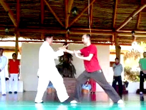 Taijiquan 12 Combat Sequences