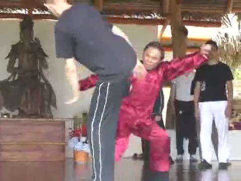 Taijiquan 12 Combat Sequences