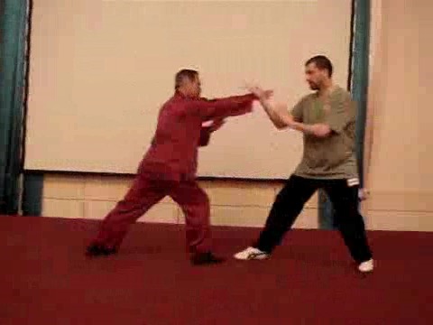 Taijiquan 12 Combat Sequences