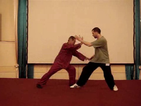 Taijiquan 12 Combat Sequences