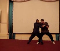 Taijiquan 12 Combat Sequences