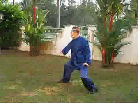 Wudang Taijiquan