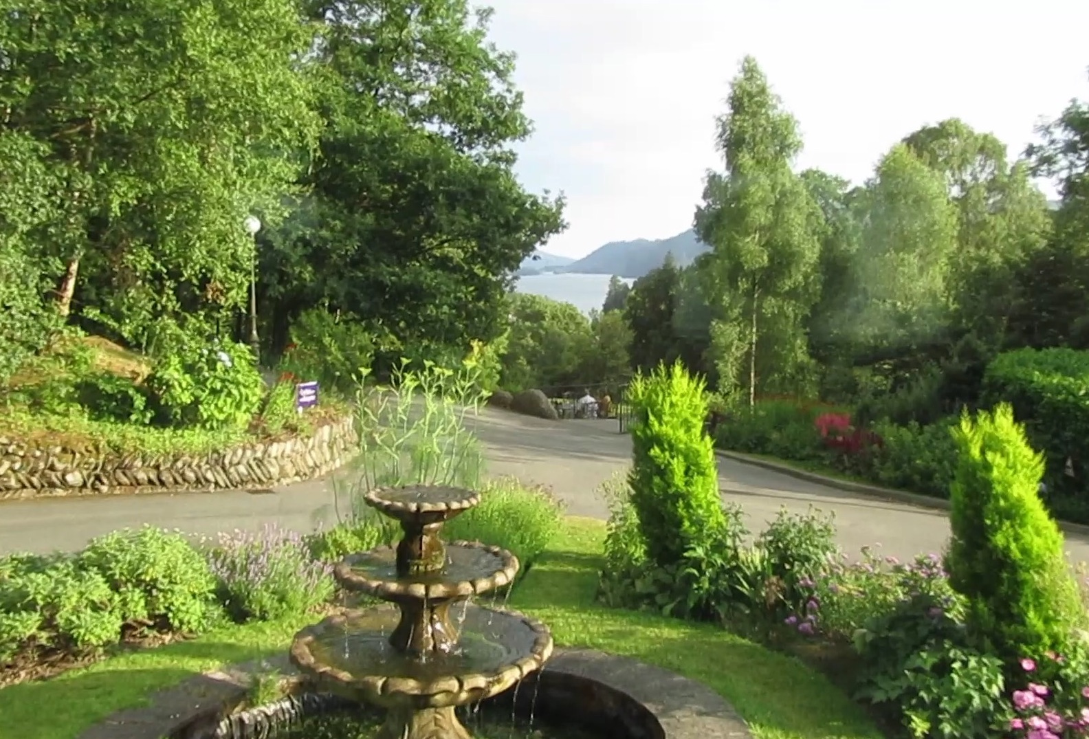 Lake Windermere framed by lovely tree