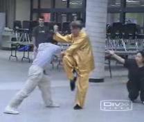 Shaolin Kung Fu