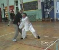 Shaolin Kung Fu