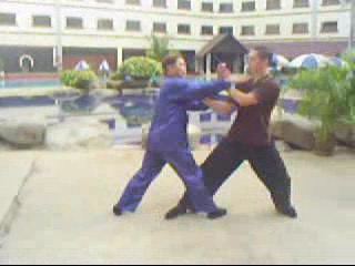 Wahnam Taijiquan