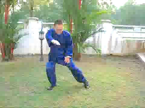 Wudang Taijiquan