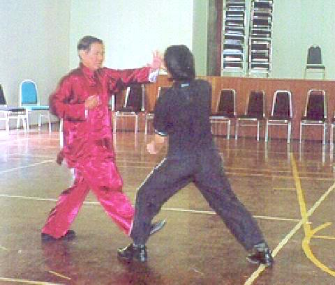 Kungfu Sparring