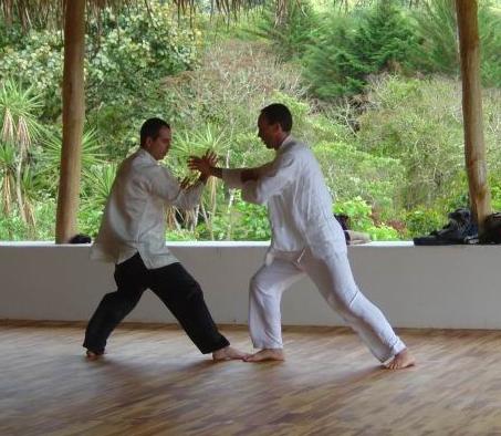 Taijiquan sparring