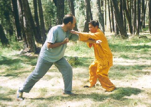 Wing Choon sparring