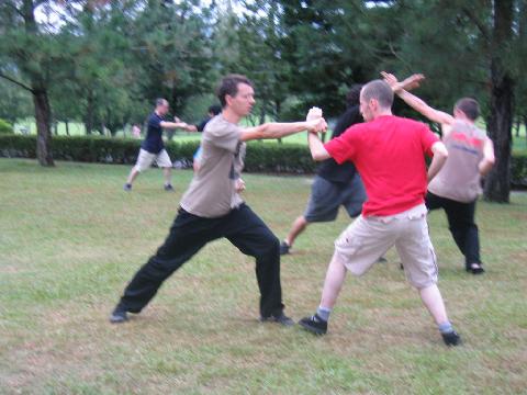 kungfu sparring