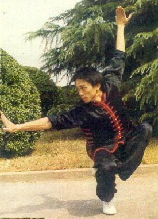 Wushu