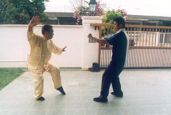 Counters against Chain Punches