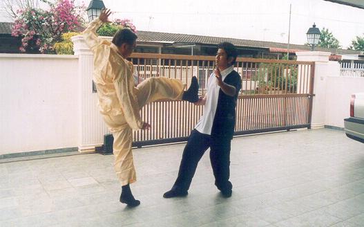 Counters against Chain Punches