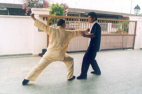 Counters against Chain Punches