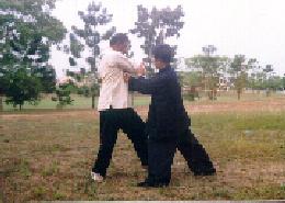 Taijiquan