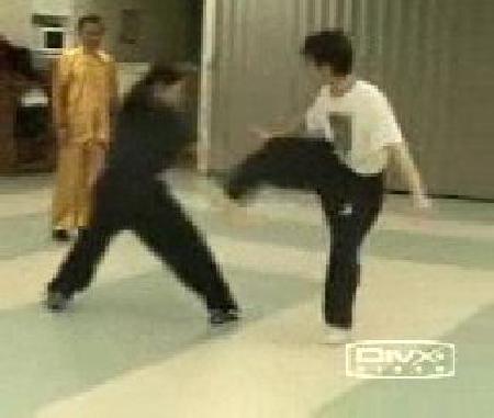 Shaolin Kungfu