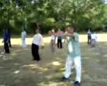 Wahnam Taijiquan