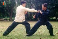 Taijiquan sparring