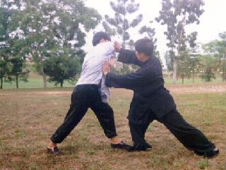 Wahnam Taijiquan