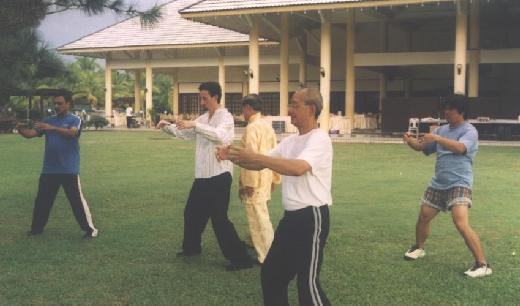 zhan zhuang or stance training