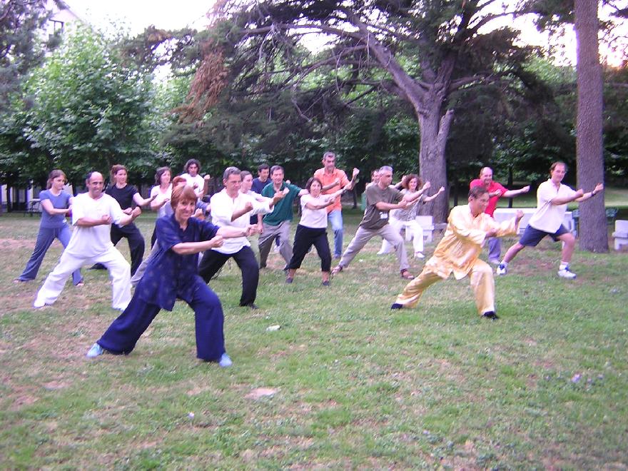 Wahnam Taijiquan