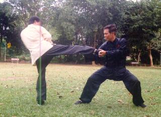 Tai Chin Chuan, Taijiquan