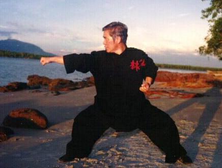 Shaolin Kungfu