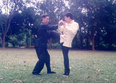 Taijiquan combat application