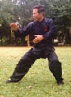 Taijiquan