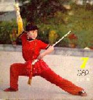 Wushu