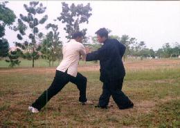 Taijiquan combat