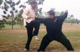 Taijiquan combat