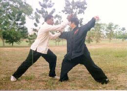 Taijiquan combat