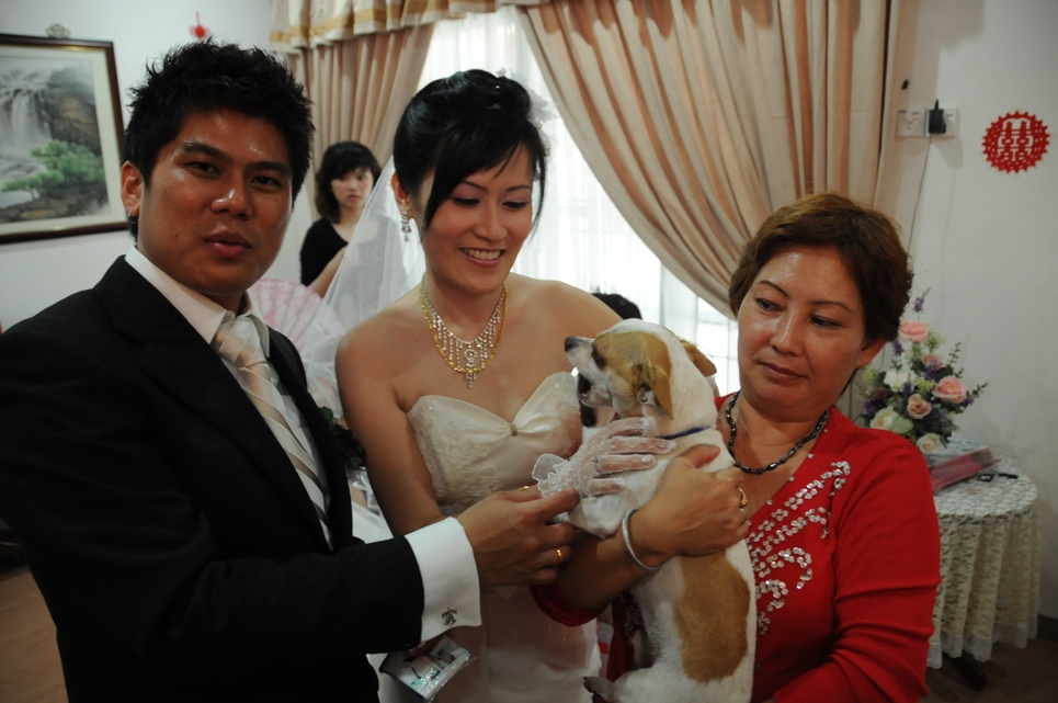 Sifu Wong Chun Nga’s Wedding